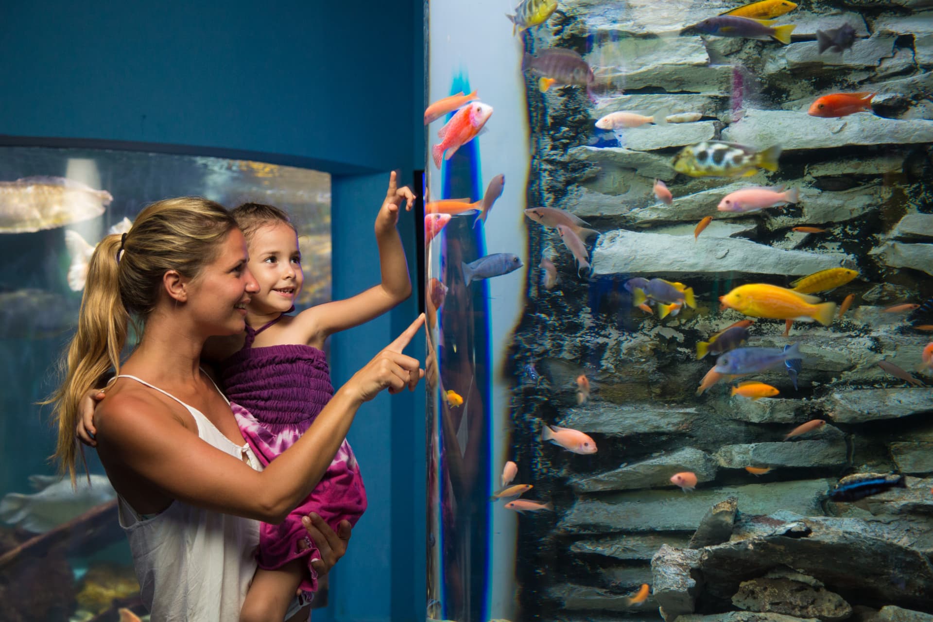 Go City Cancun All-Inclusive Pass Plus: Save up to 50% on Attractions - სურათი 13
