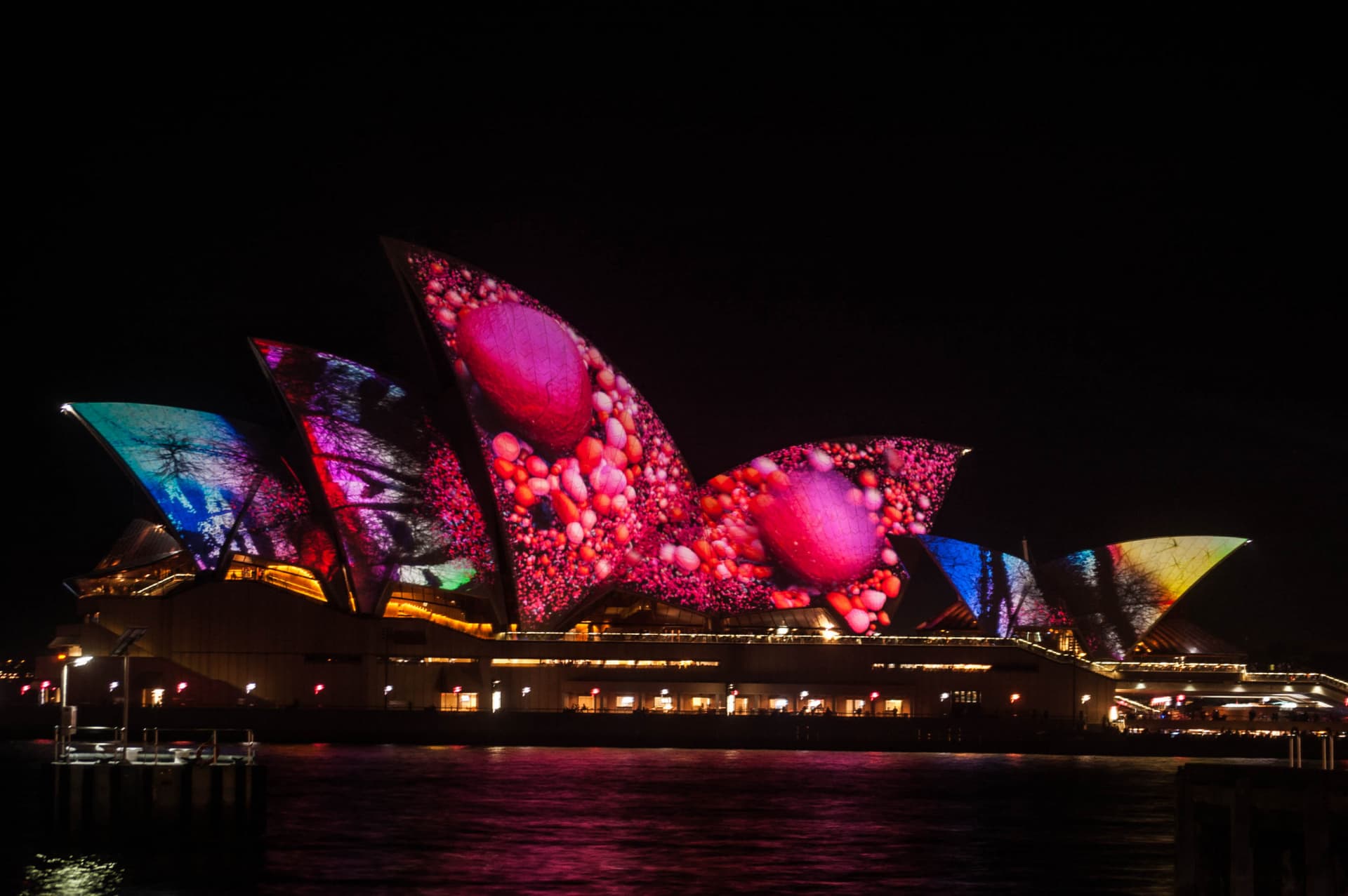 Vivid Festival of Light and Sound Cruise with Buffet Dinner aboard Sydney Princess Cruises - სურათი 6