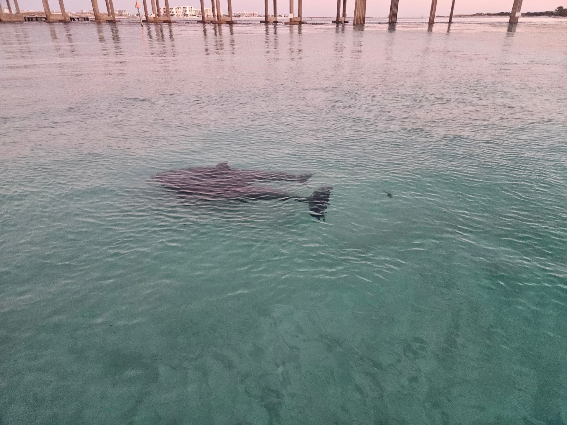 Fall/Winter Destin Harbor Sightseeing Cruise - სურათი 8