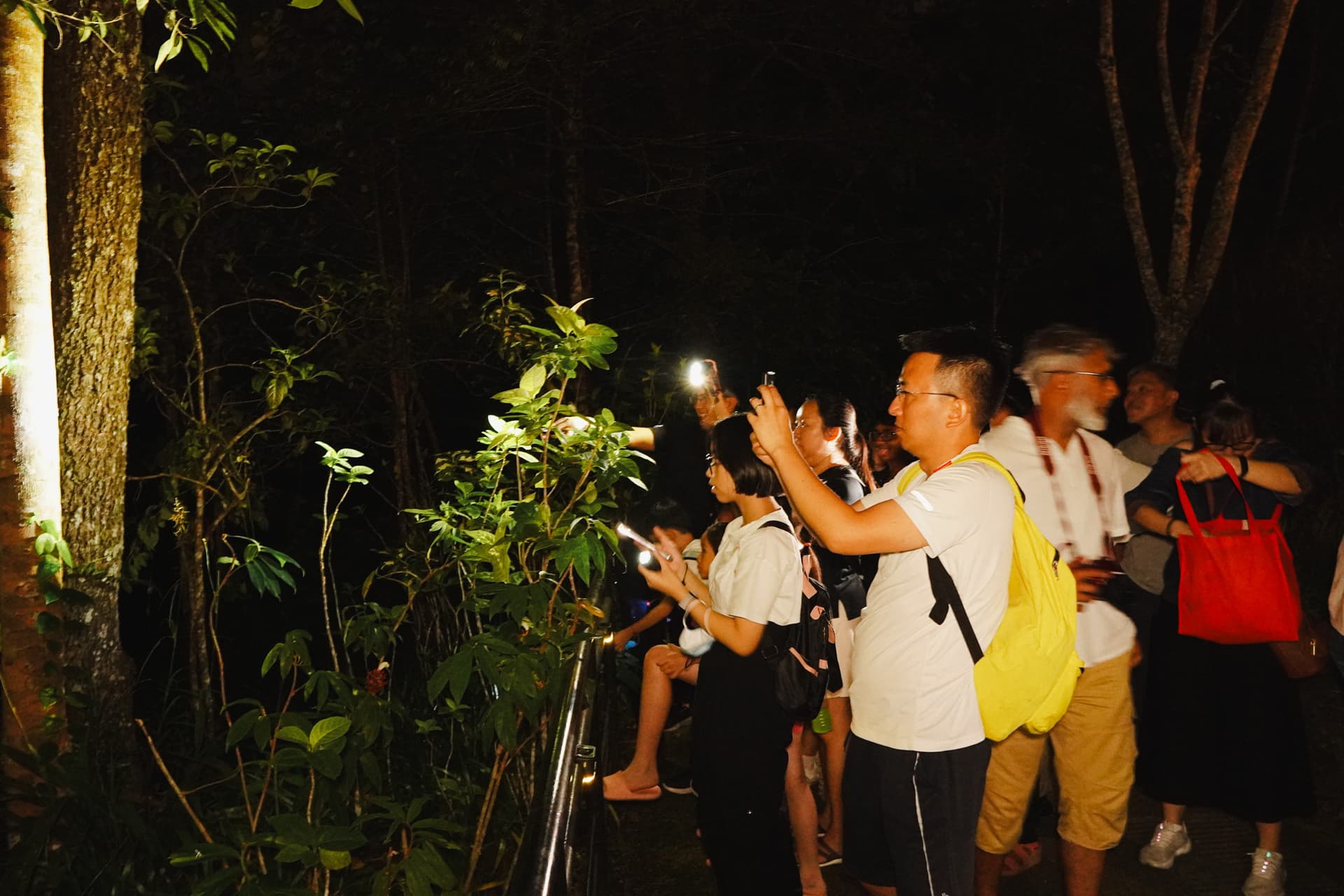 The Habitat Penang Hill Ticket - სურათი 28