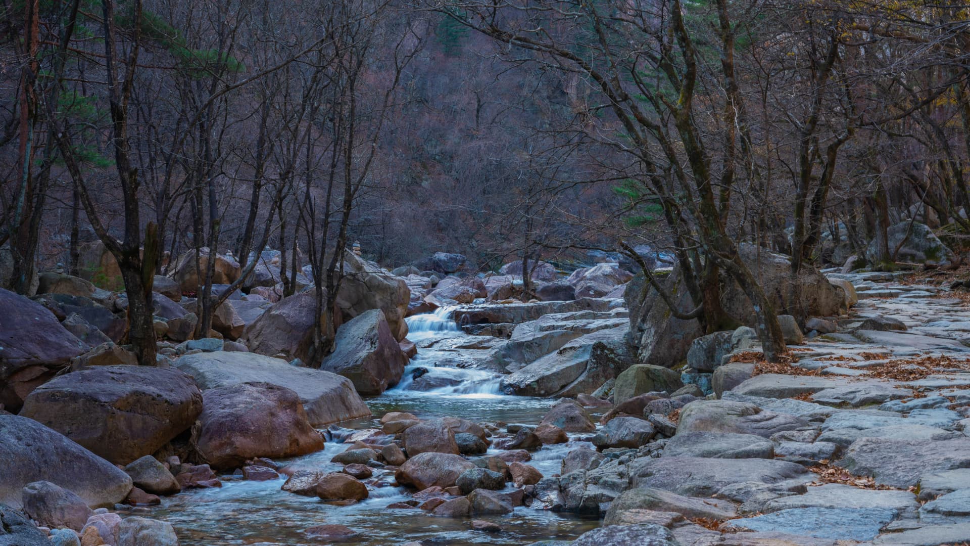 Mount Seorak and Naksansa Temple Tour from Seoul - სურათი 10