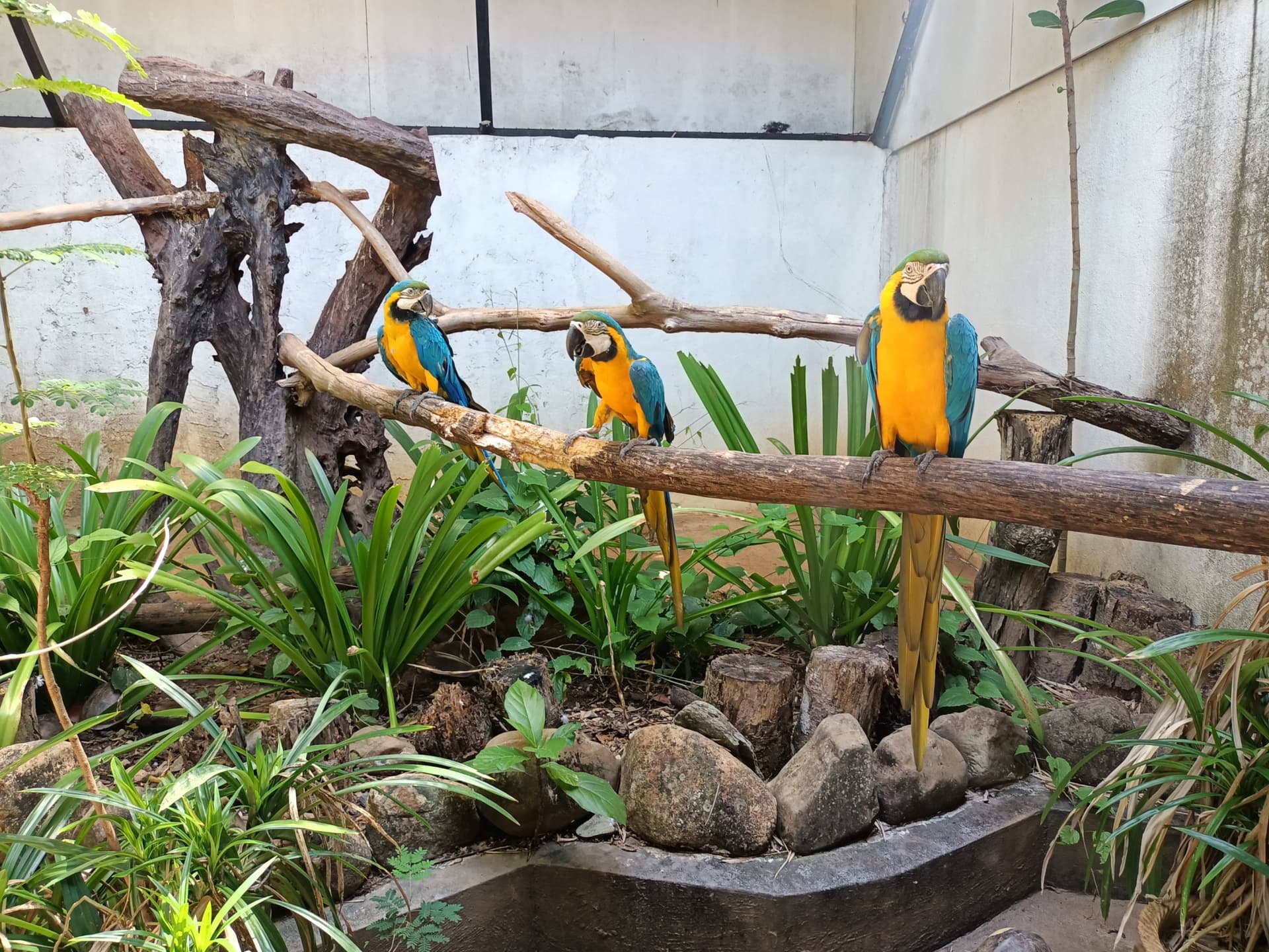 Langkawi Wildlife Park - სურათი 20