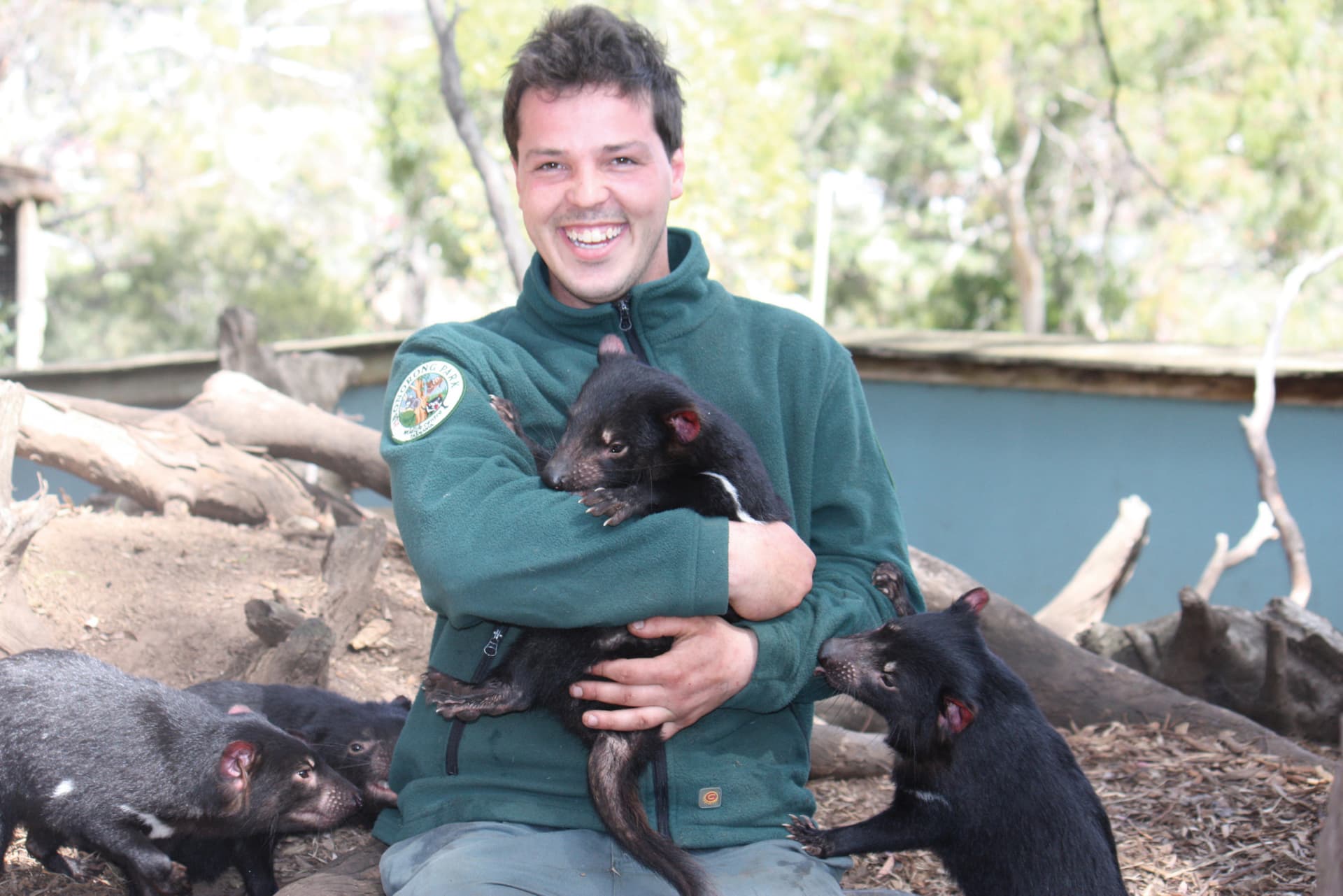Bonorong Wildlife Sanctuary and Hobart City Tour - მთავარი სურათი