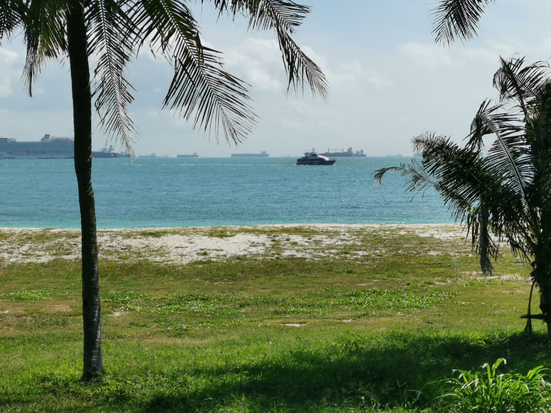 Singapore Island Cruise - St. John's Island, Lazarus Island, and Kusu Island by Ferry - სურათი 9