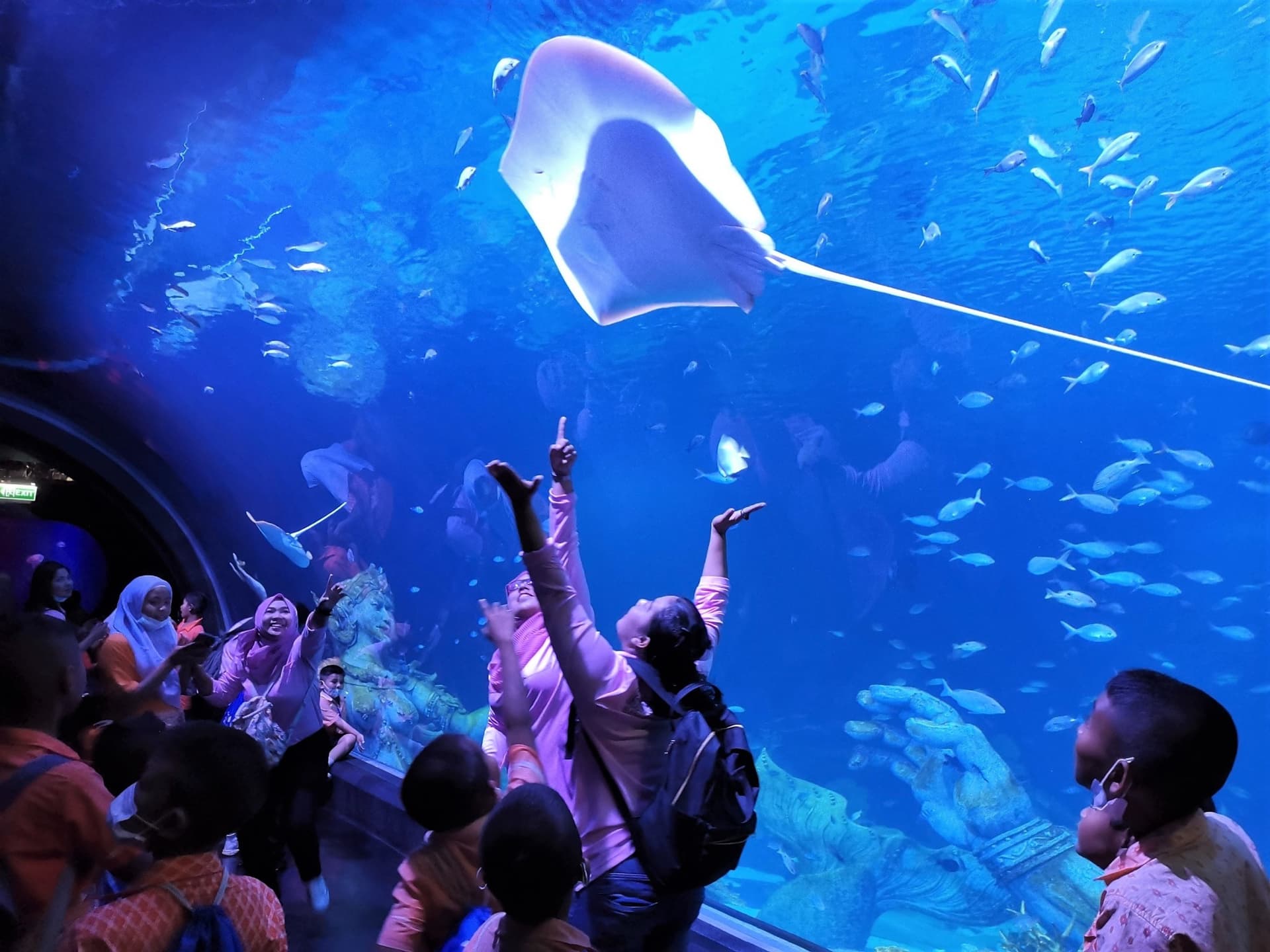 Aquaria Phuket - სურათი 5