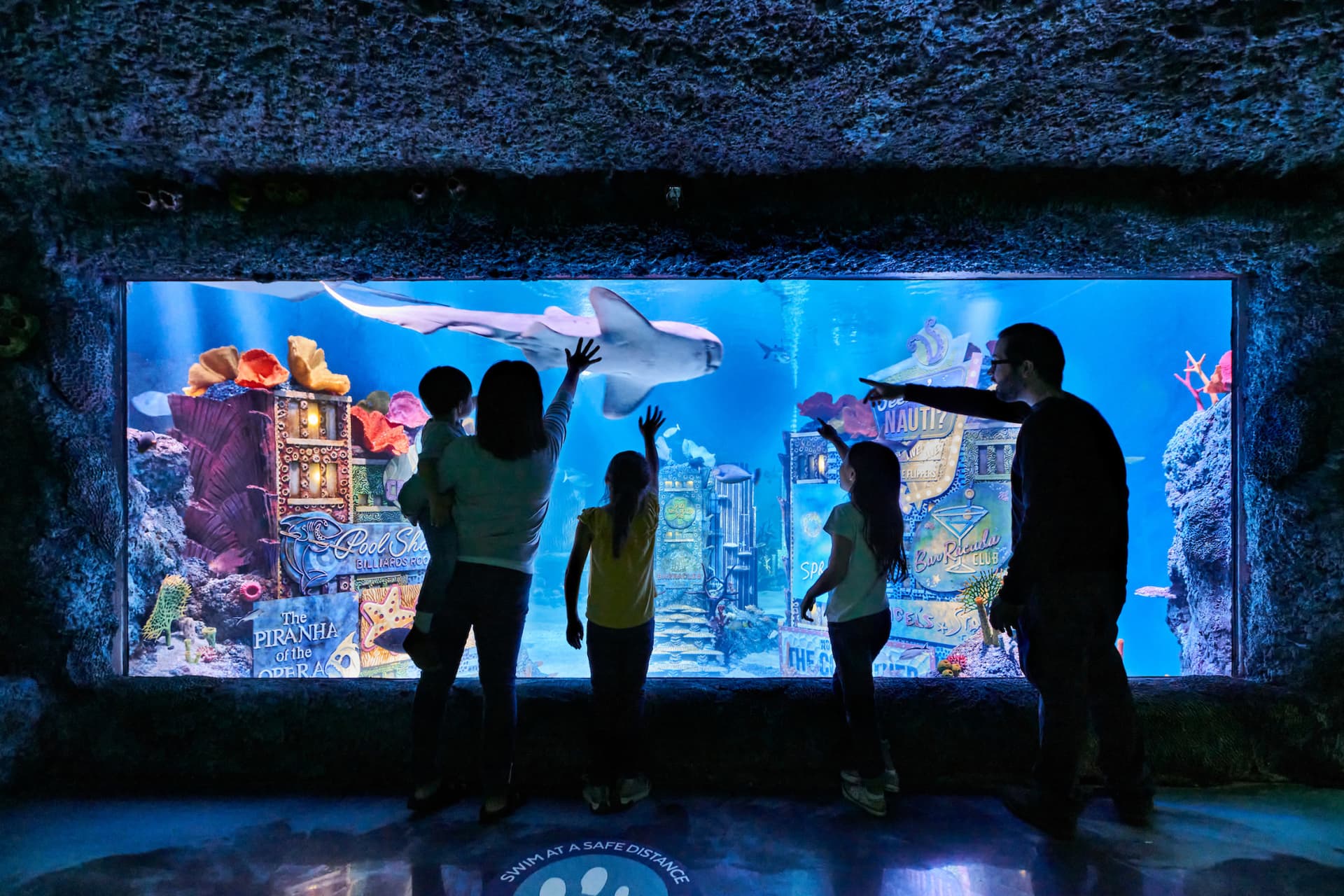 SEA LIFE New Jersey Aquarium Ticket - სურათი 2