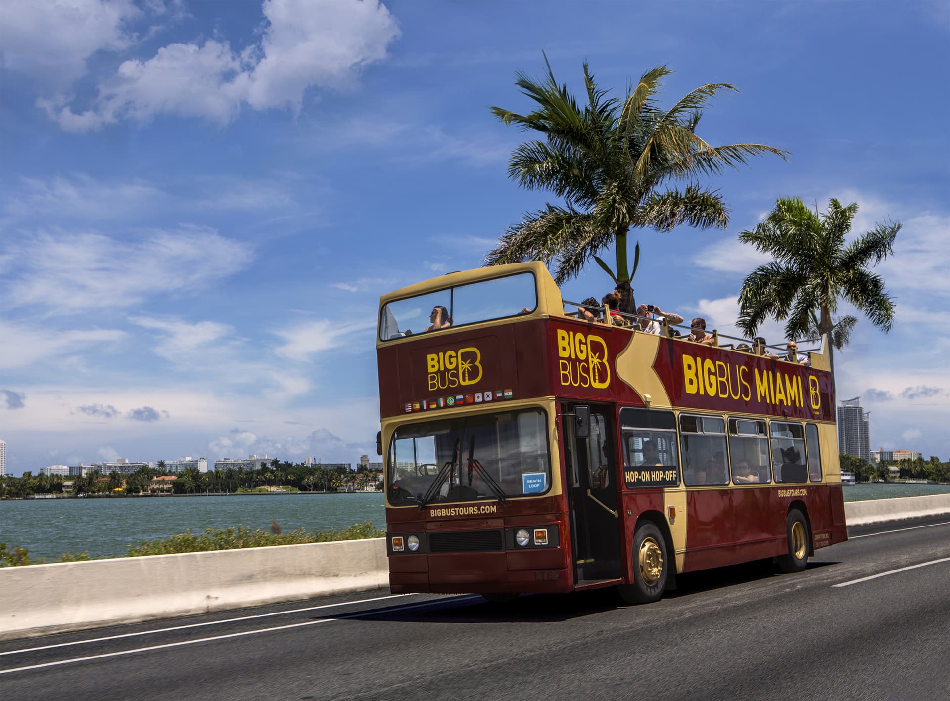 Go City Miami Explorer Pass: Save up to 50% on Attractions - სურათი 6