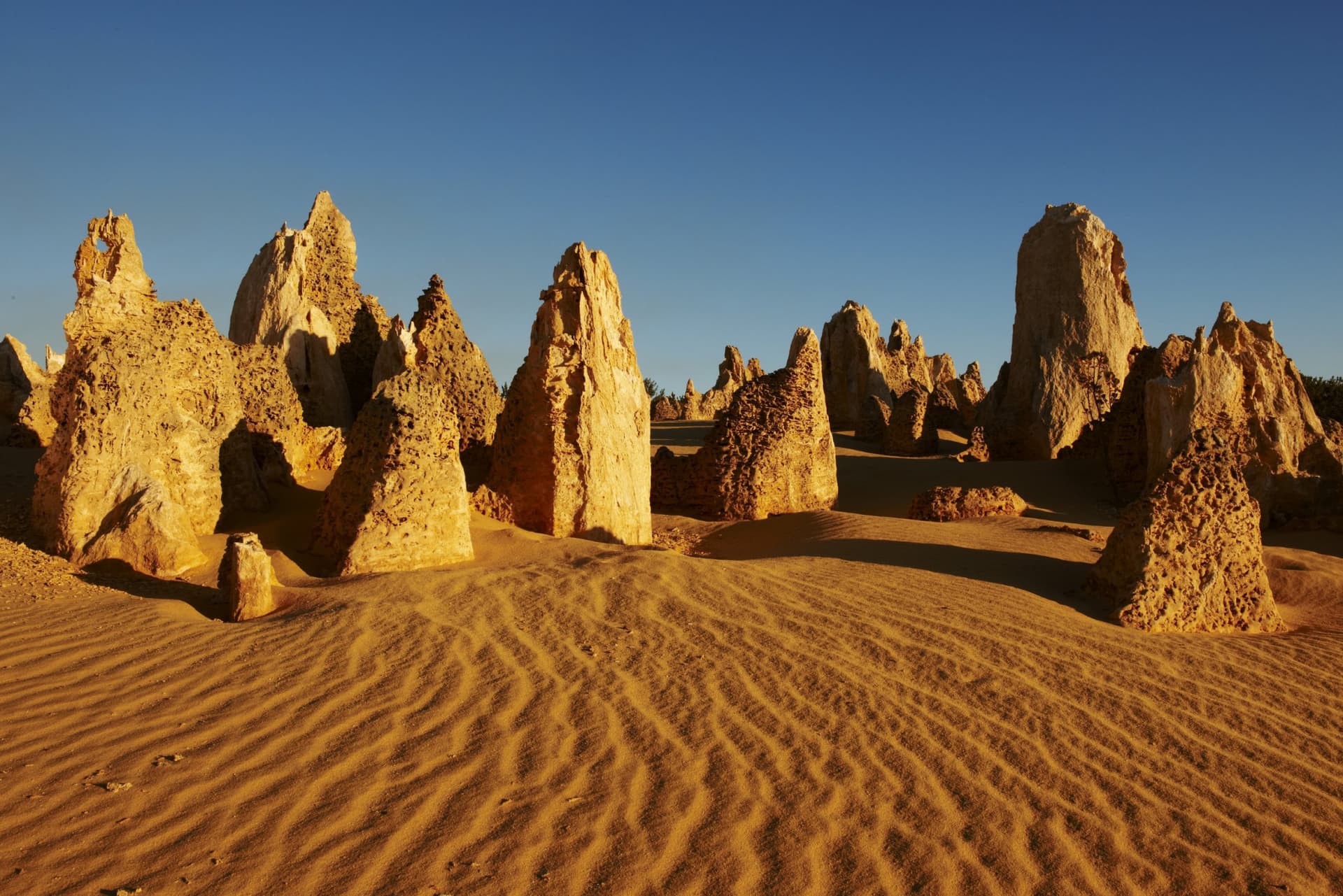Pinnacles Desert Sunset and Stargazing Tour from Perth - სურათი 3