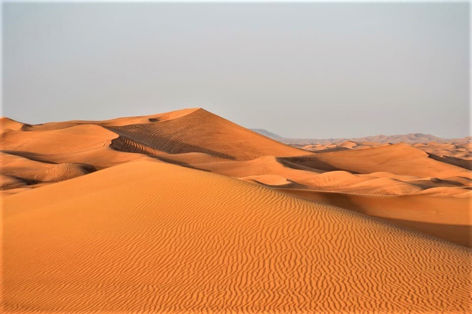Morning Desert Safari Tour from Dubai - სურათი 6