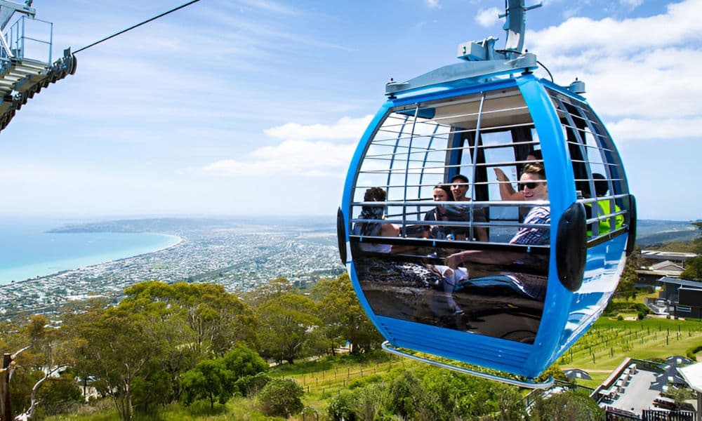 Arthur’s Seat Eagle Cable Car Ride Over the Mornington Peninsula - სურათი 3