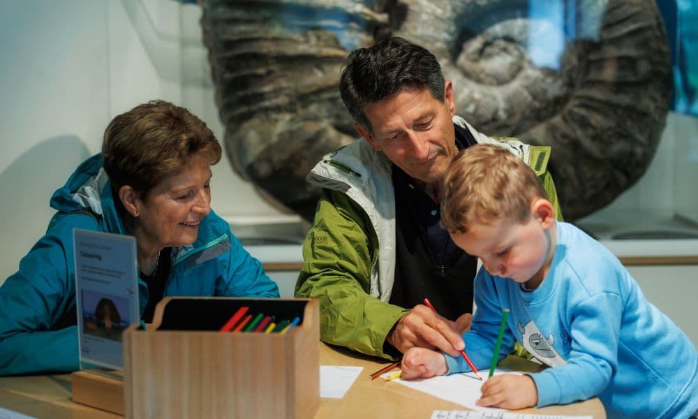 Museum of New Zealand Te Papa Tongarewa Ticket - სურათი 3