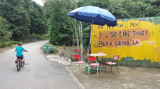 Pulau Ubin Cycling Tour - სურათი 15