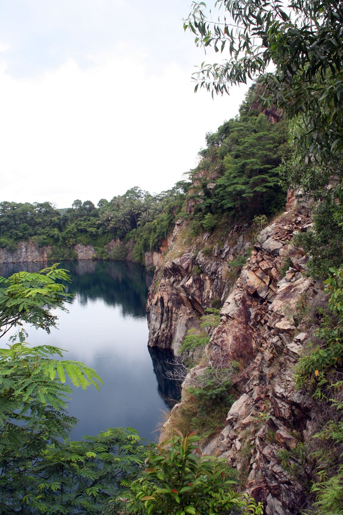Pulau Ubin Cycling Tour - სურათი 6