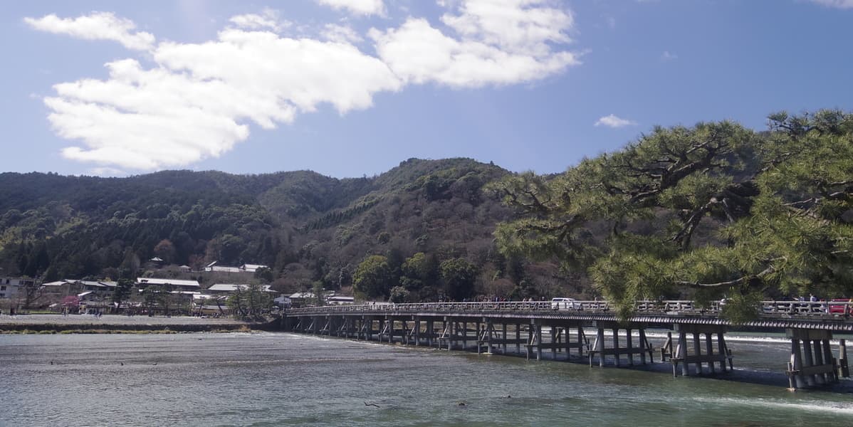 Kyoto Food and Drink Tour - Arashiyama - სურათი 8