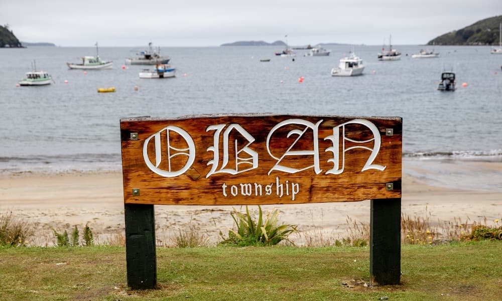 Stewart Island Ferry - Bluff to Stewart Island - სურათი 5