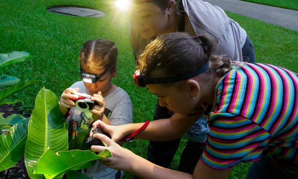Cairns Botanic Gardens Night Walk Experience - სურათი 3