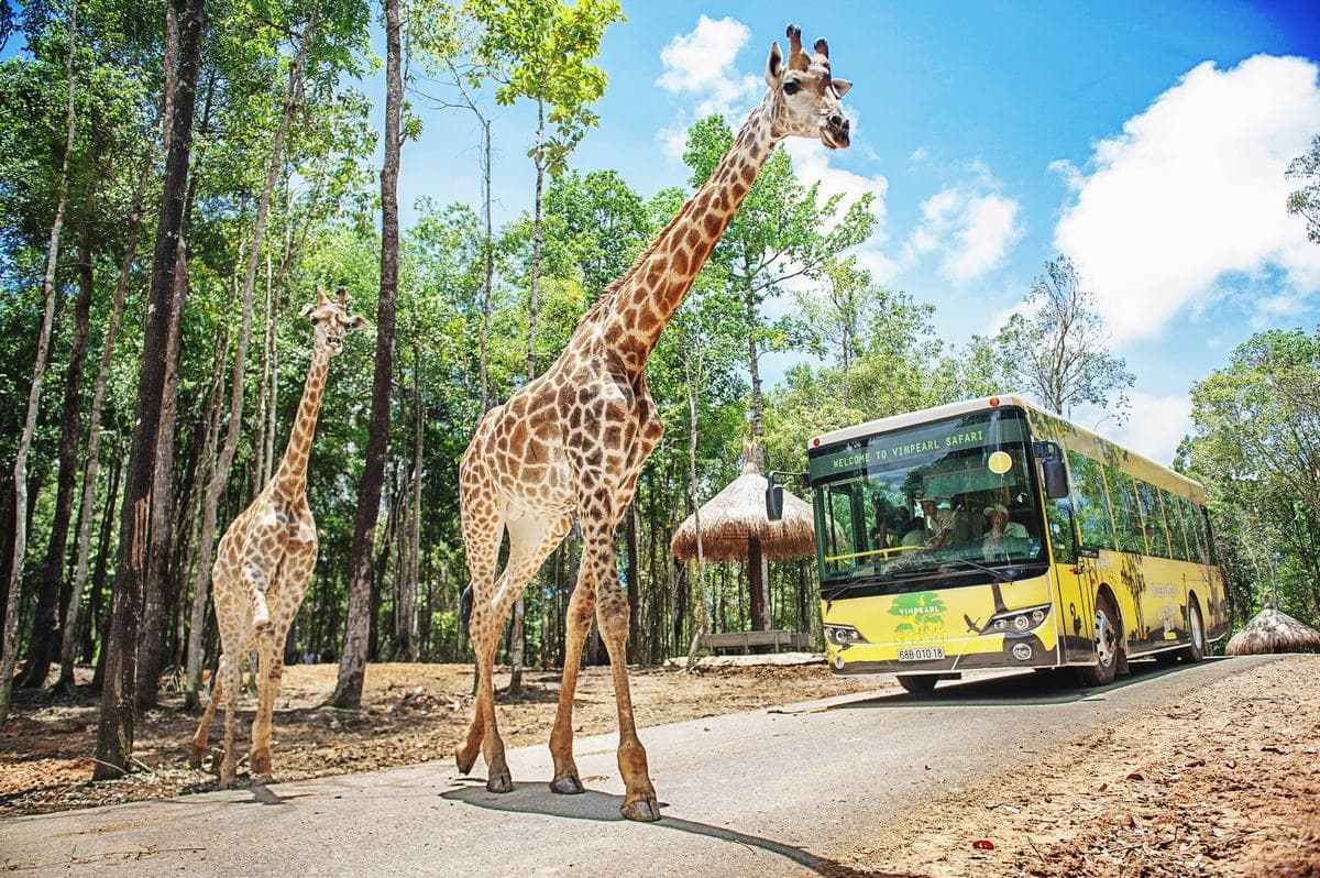 Vinpearl Safari Phu Quoc Ticket - მთავარი სურათი
