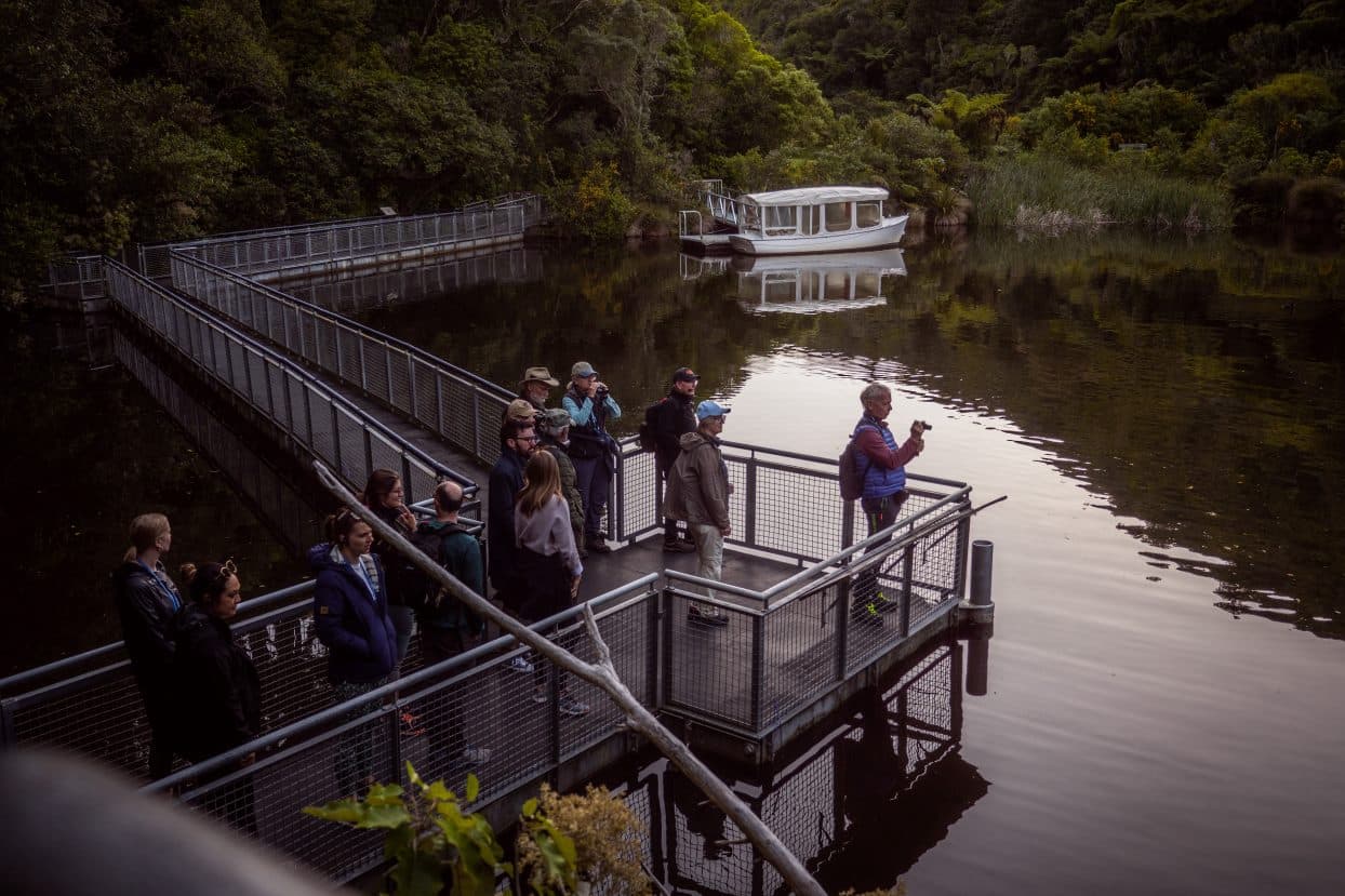 Zealandia Night Tour - სურათი 6