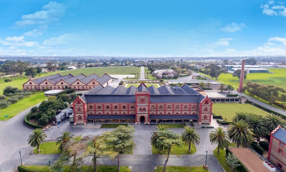 Chateau Tanunda Old Vine Expressions Tasting Experience - სურათი 5