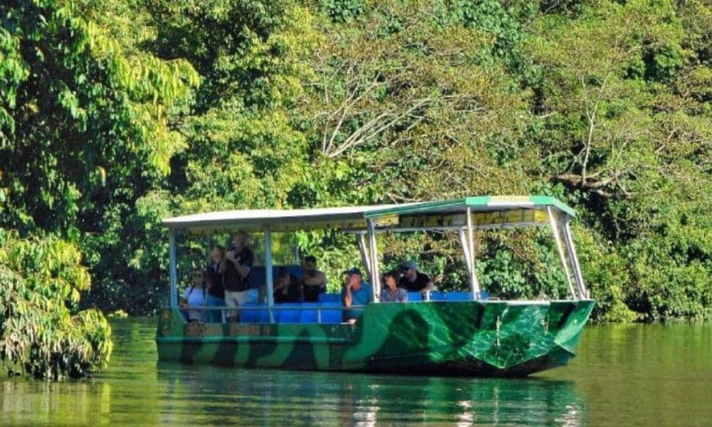 Crocodile Express Daintree Cruise from Daintree Gateway - სურათი 4