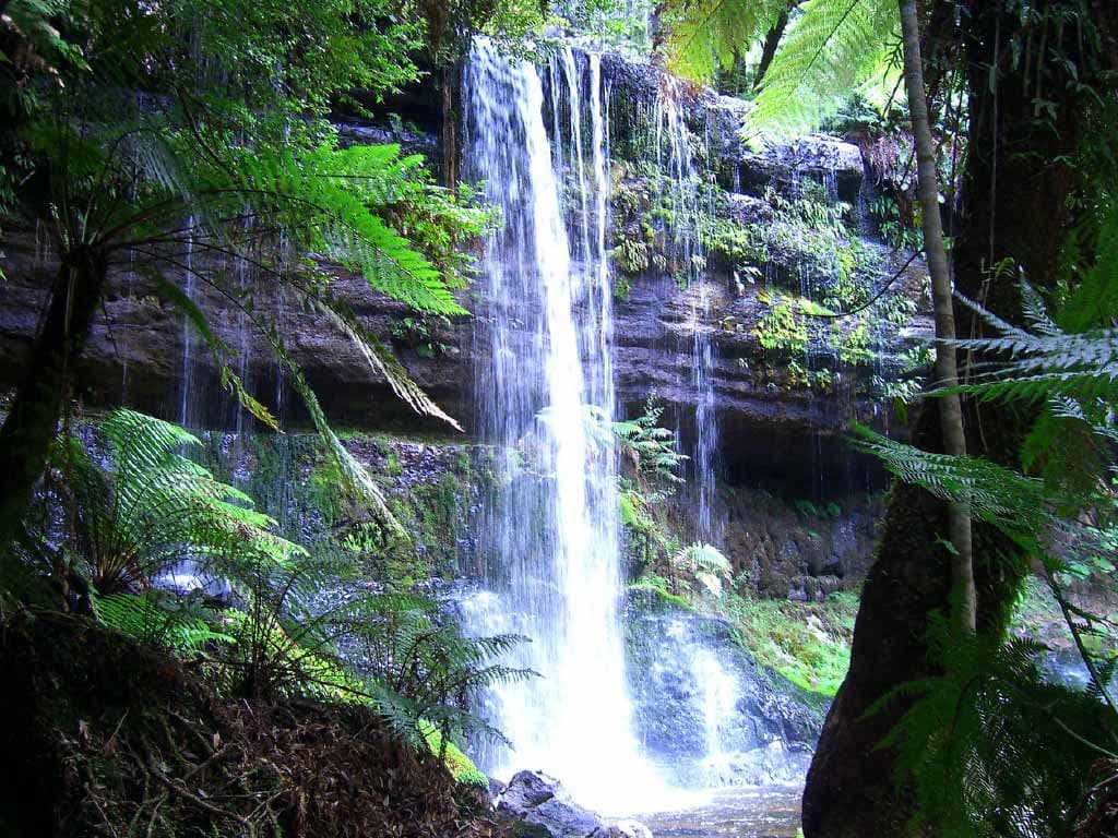 Russell Falls Tour from Hobart - სურათი 11
