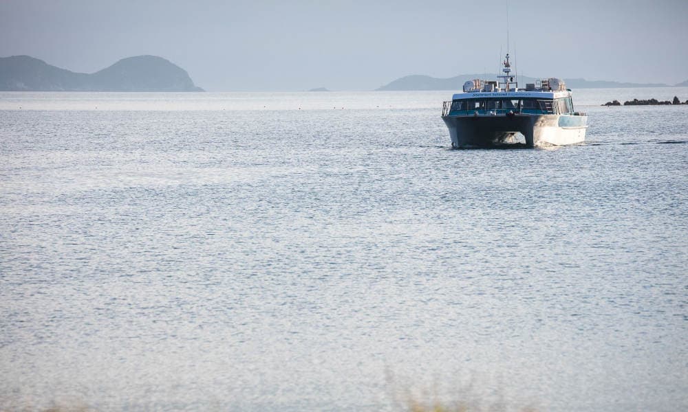 Stewart Island Ferry - Bluff to Stewart Island - სურათი 6