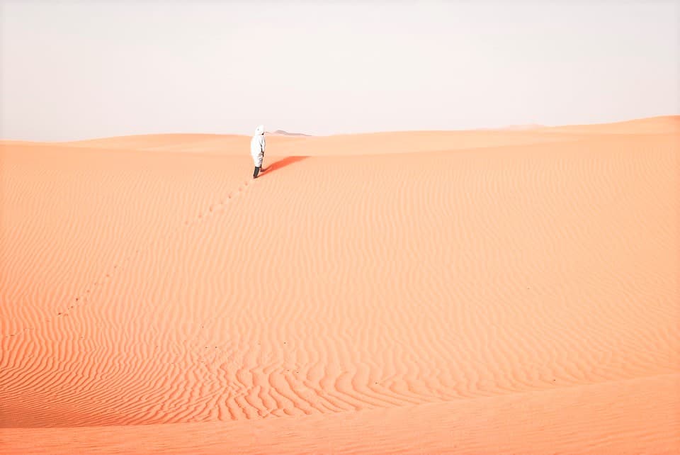 Morning Desert Safari Tour from Dubai - სურათი 3