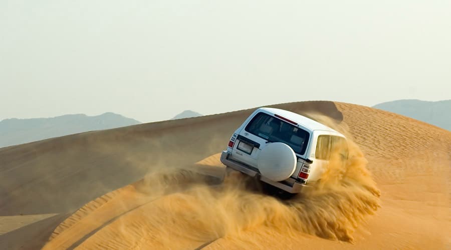 Morning Desert Safari Tour from Dubai - სურათი 2