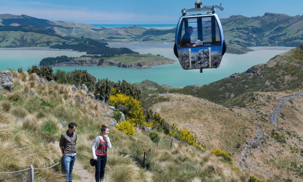 Christchurch Gondola Tickets - სურათი 5