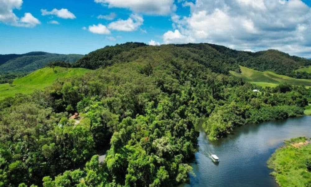 Crocodile Express Daintree Cruise from Daintree Gateway - სურათი 3
