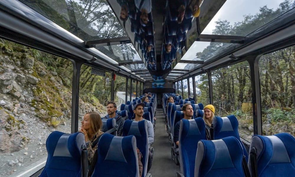 Milford Sound Coach and Cruise from Te Anau - სურათი 3