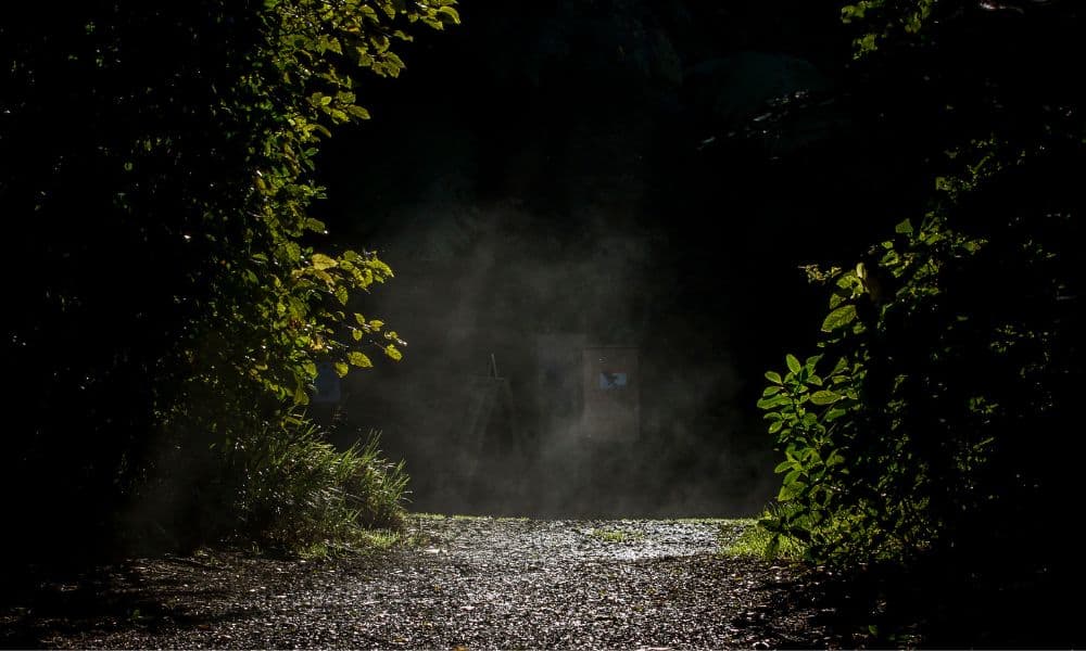 Zealandia Night Tour - სურათი 2