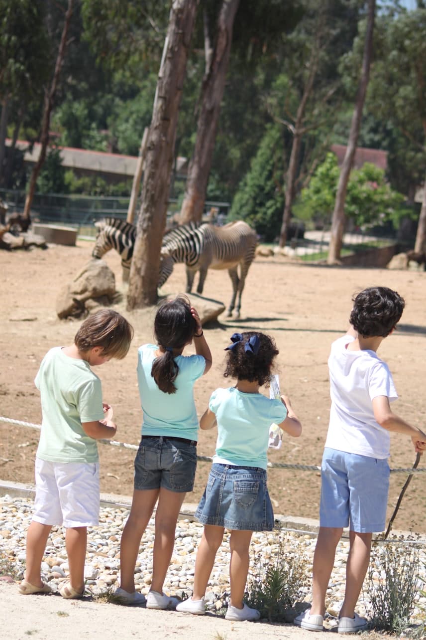 Zoo Santo Inácio Ticket - სურათი 5