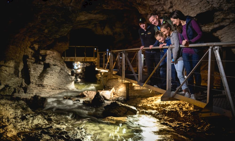 Te Anau Glowworm Caves Tour - სურათი 4
