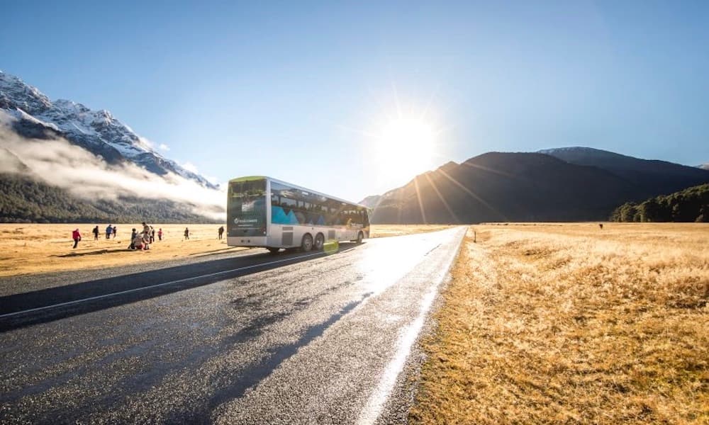 Milford Sound Coach and Cruise from Te Anau - სურათი 4