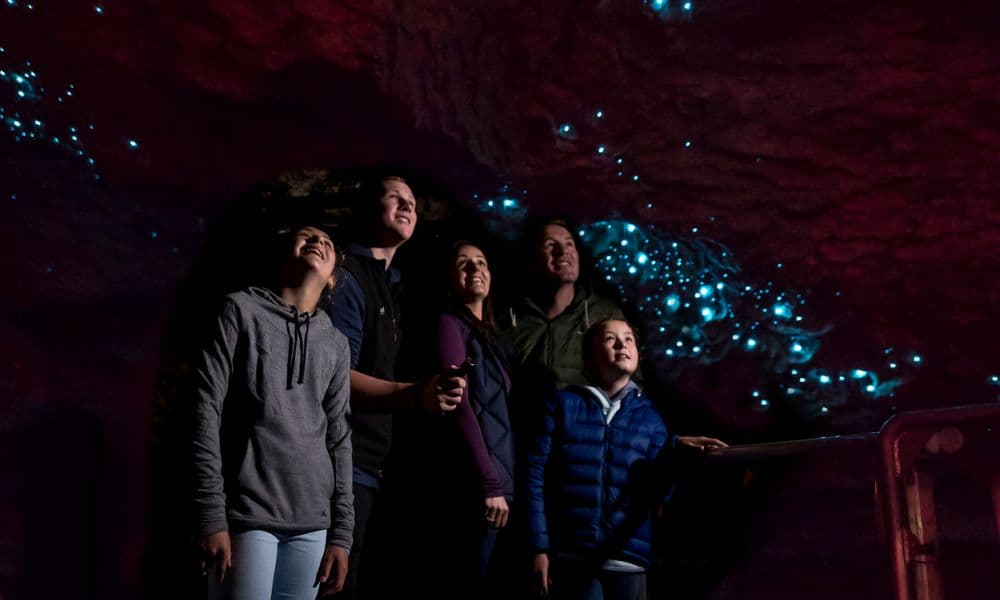 Te Anau Glowworm Caves Tour - სურათი 3