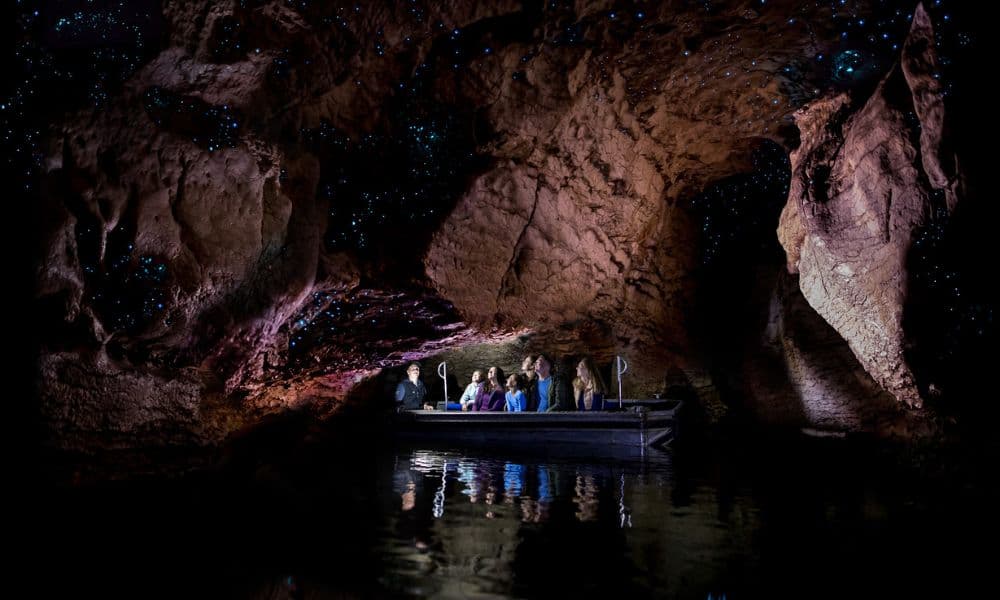 Te Anau Glowworm Caves Tour - სურათი 2
