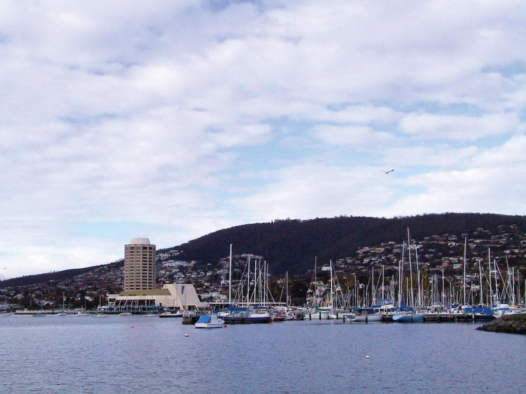 Mount Wellington and Hobart City Tour - სურათი 7