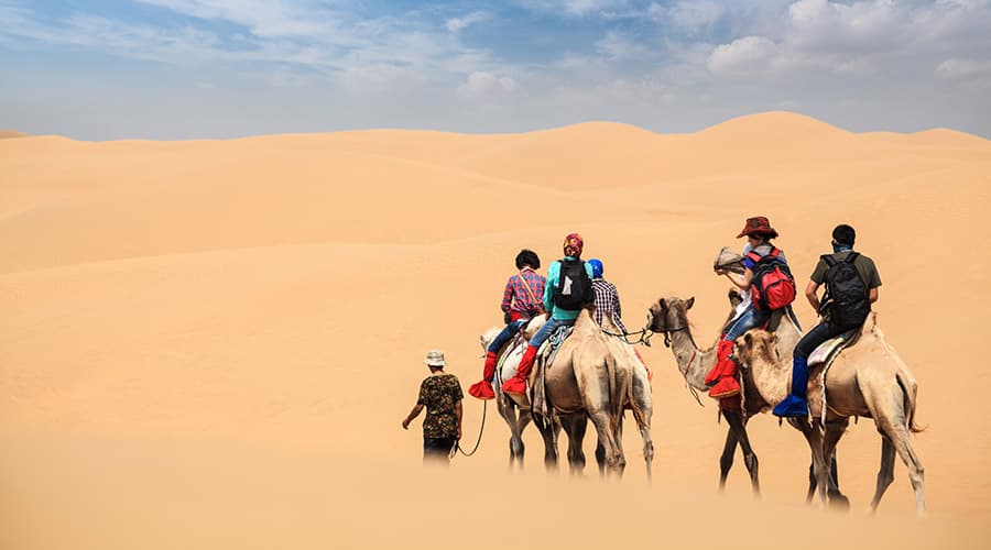 Morning Desert Safari Tour from Dubai - მთავარი სურათი