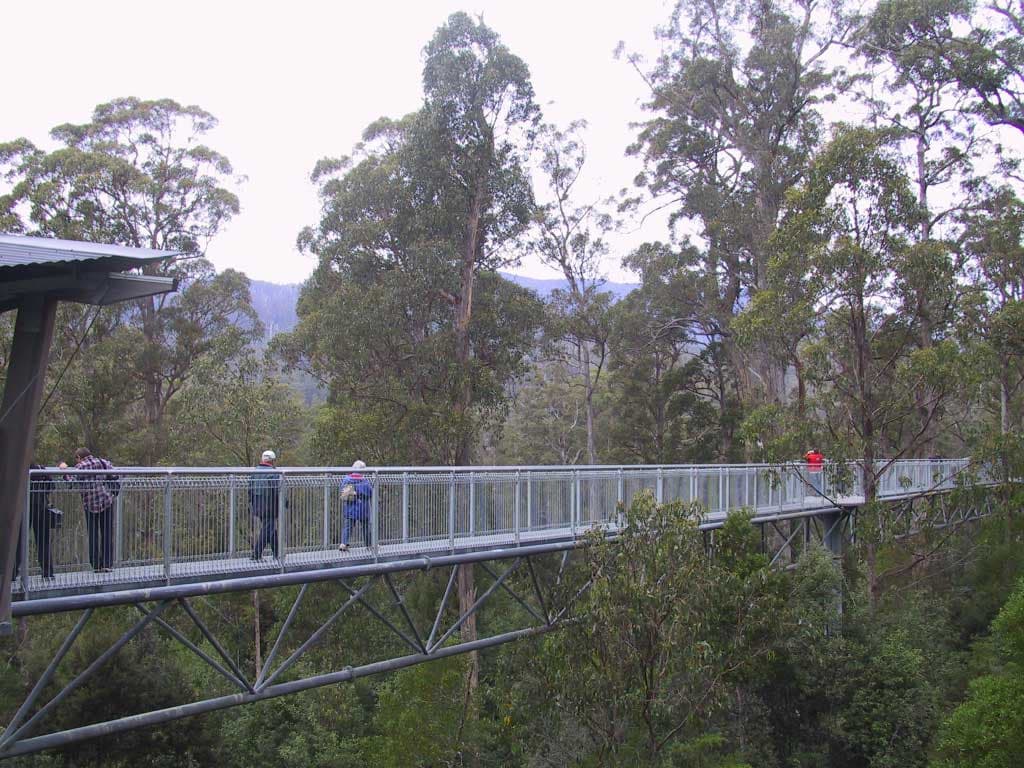 Huon Valley Tour - სურათი 10