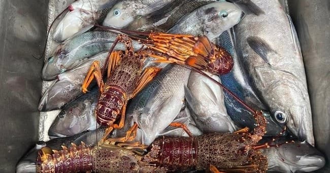 Fishing and Crayfish Trip from Kaikoura - სურათი 6