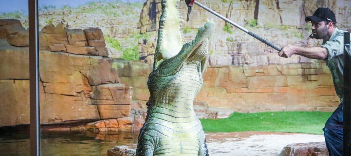 Ballarat Wildlife Park Tickets - სურათი 3