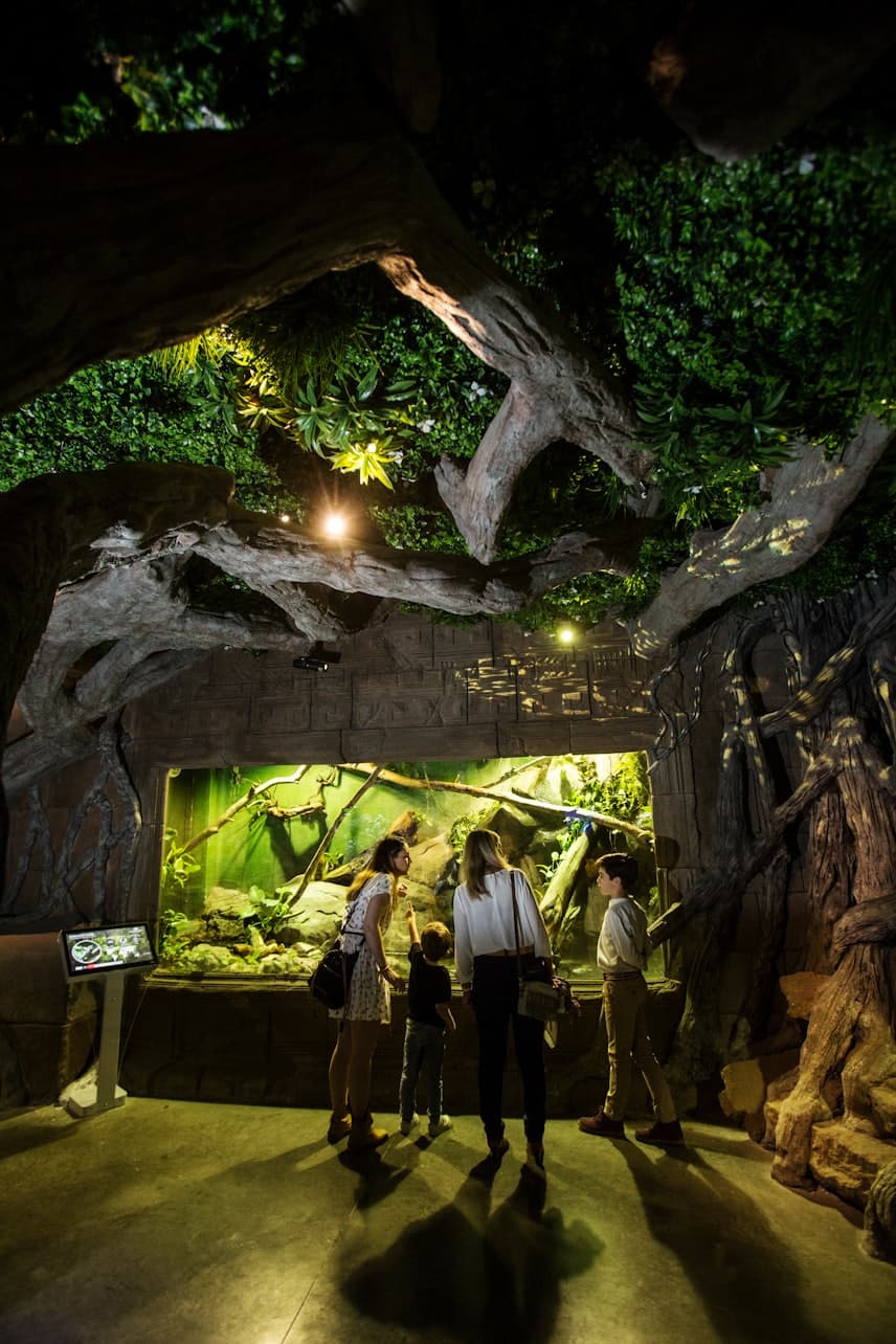 Seville Aquarium Ticket - სურათი 13