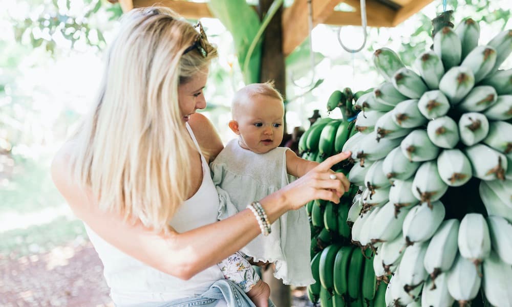 Tropical Fruit World Ticket - სურათი 4