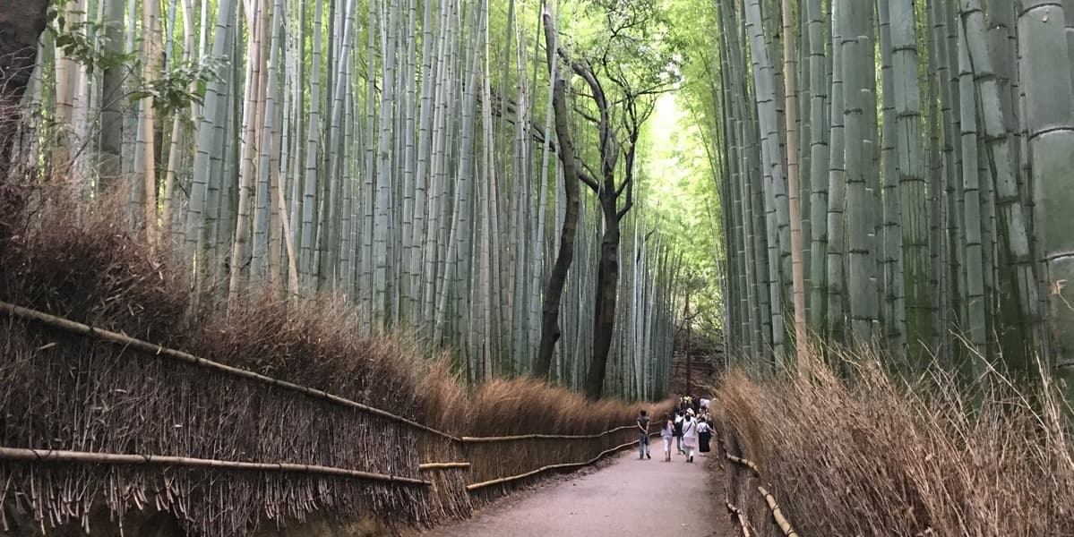 Kyoto Food and Drink Tour - Arashiyama - სურათი 6