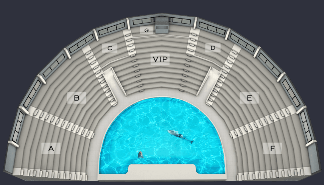 Dubai Dolphinarium Ticket - სურათი 15