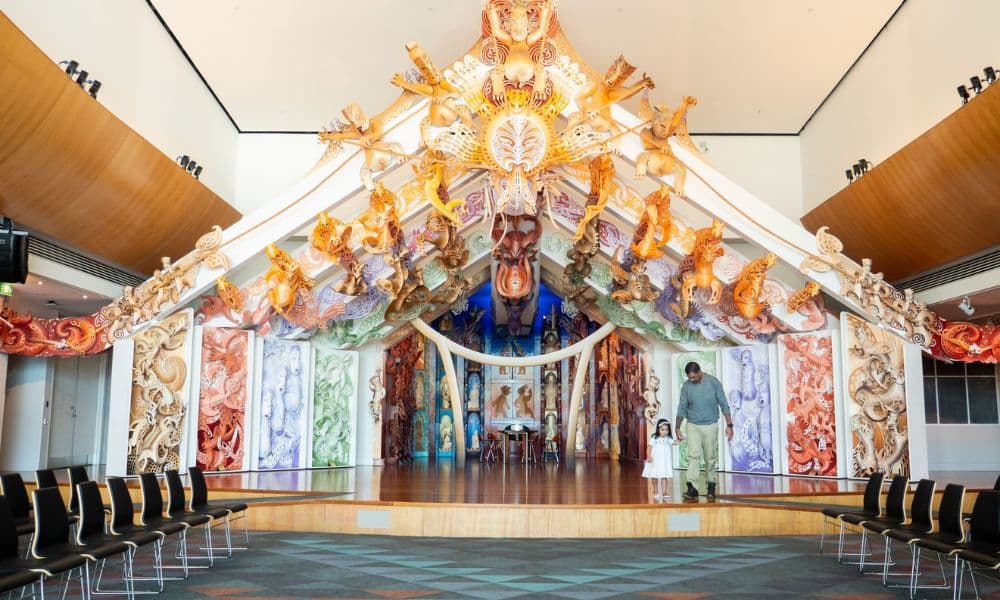 Museum of New Zealand Te Papa Tongarewa Ticket - მთავარი სურათი
