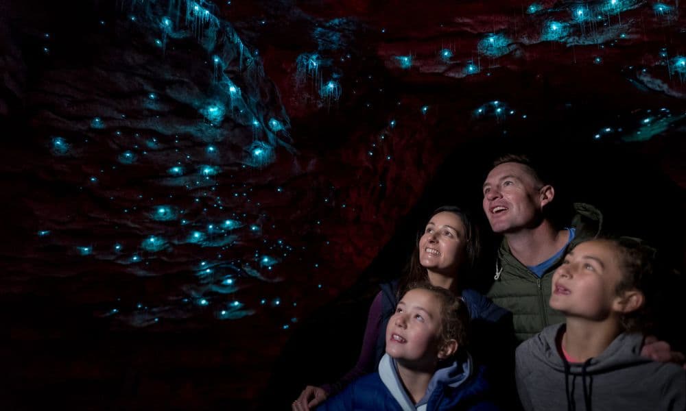 Te Anau Glowworm Caves Tour - მთავარი სურათი