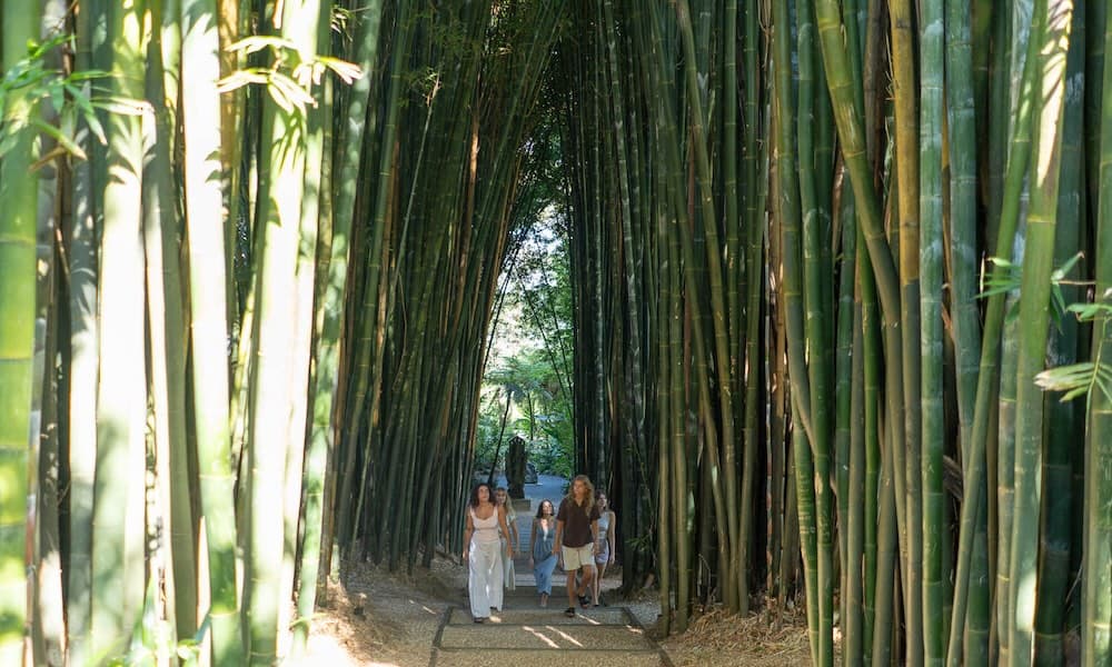 Crystal Castle and Shambhala Gardens in Byron Bay Ticket - სურათი 3