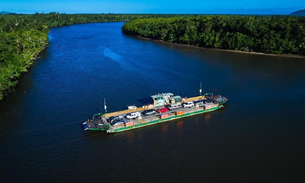 Crocodile Express Daintree Cruise from Daintree Gateway - სურათი 5